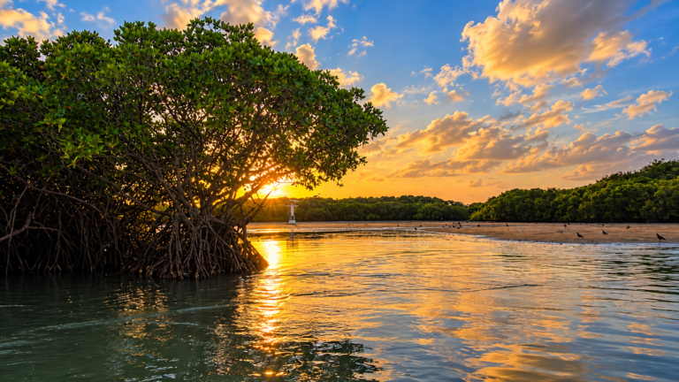 sun set boat tours