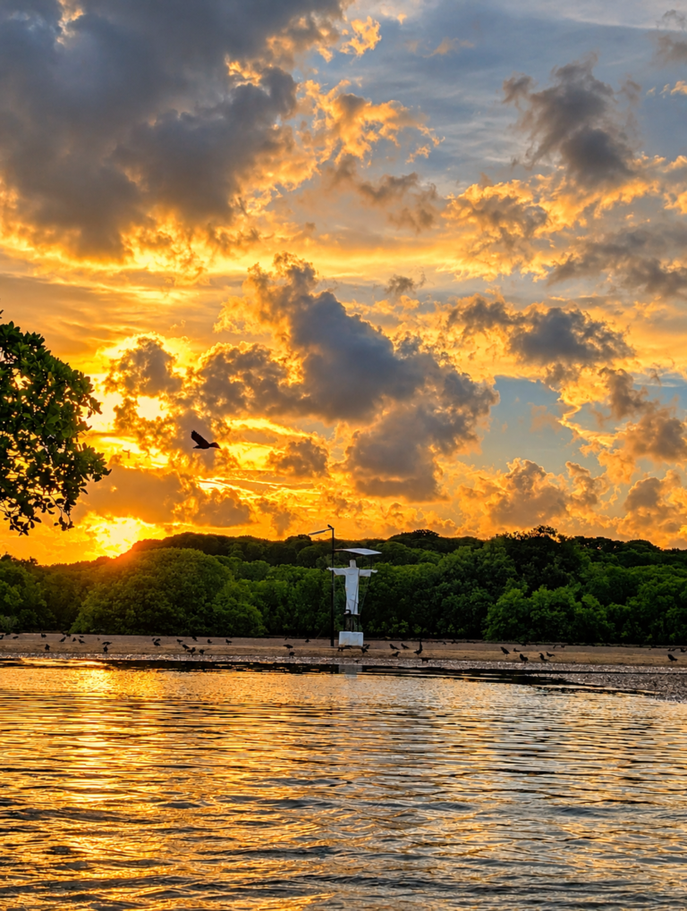 sun set boat tours