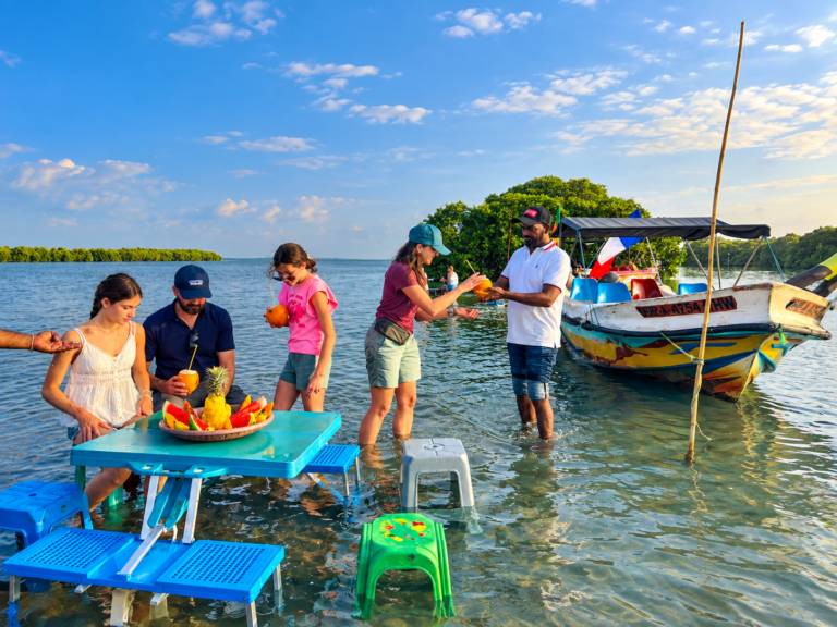 Negombo Lagoon Boat Tours