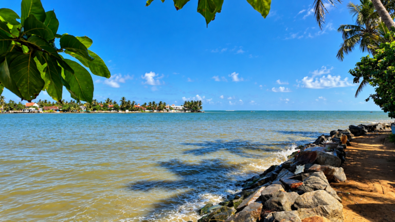 Negombo Lagoon Boat Tours