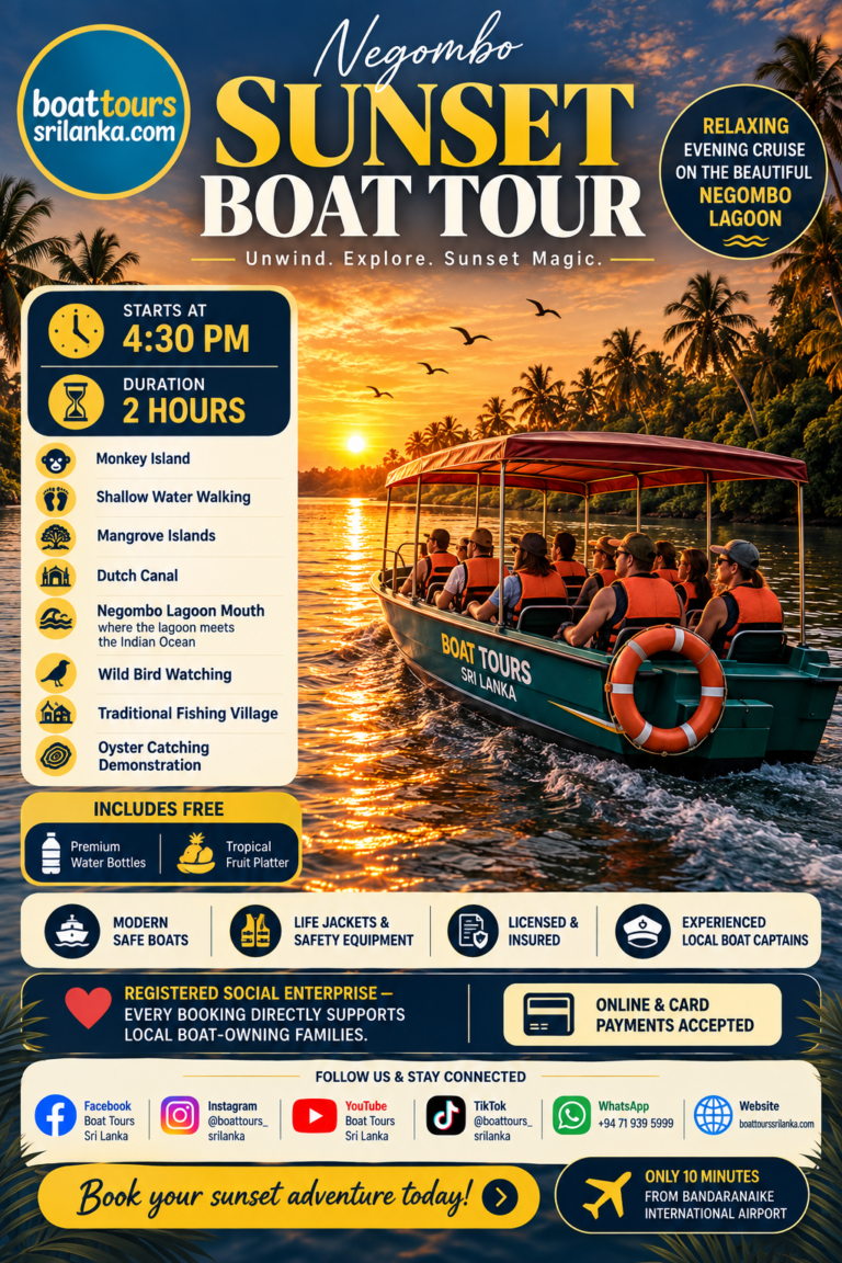 sun set boat tours