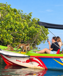 Monkey Island Negombo Boat Tour