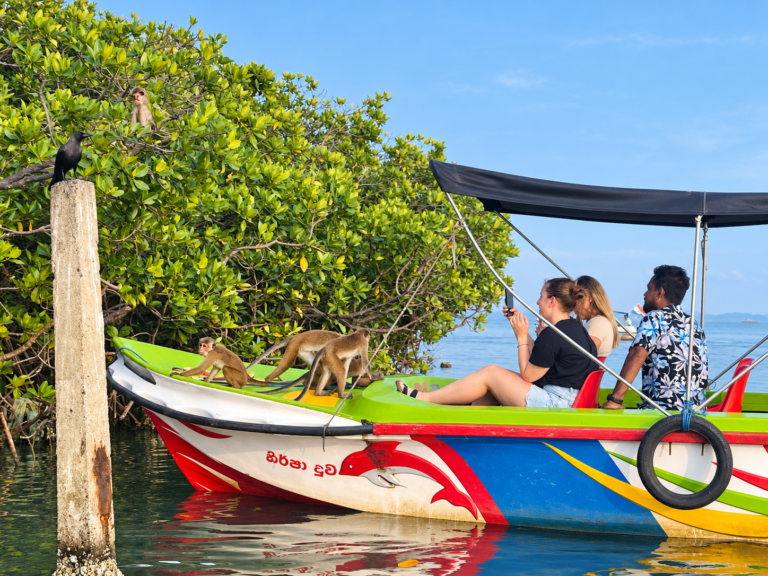 Monkey Island Negombo Boat Tour