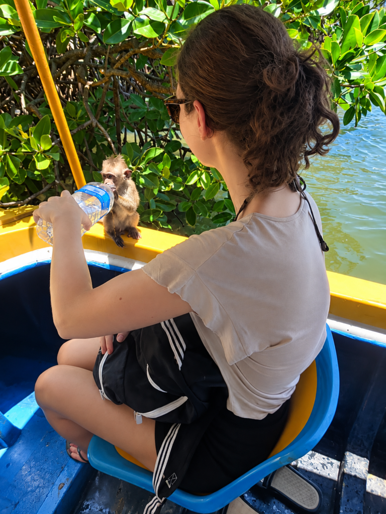 Monkey Island Negombo Boat Tour