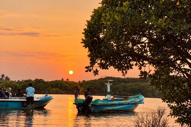 Negombo Lagoon Sunset Boat Tours