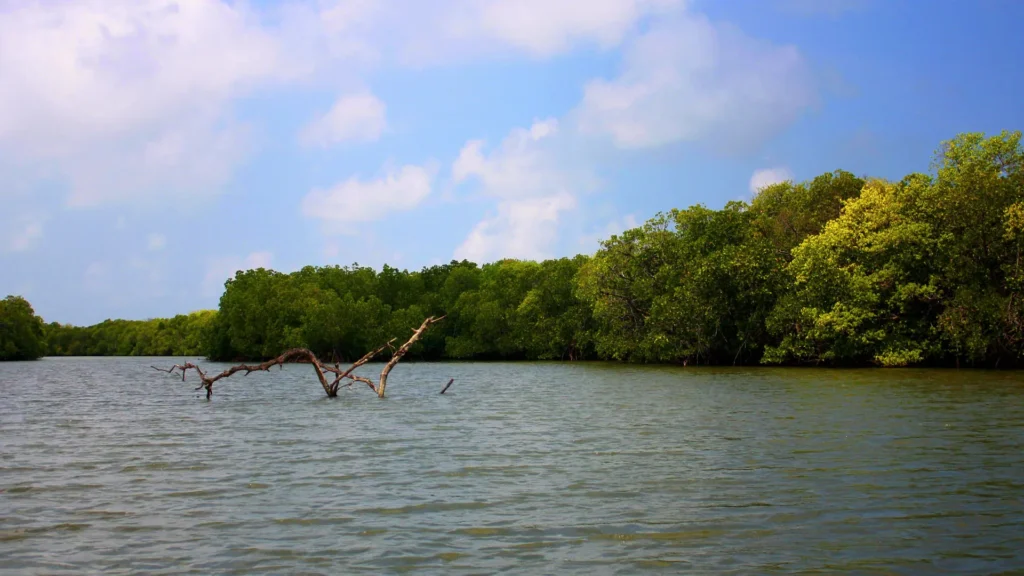 лагуна Негомбо