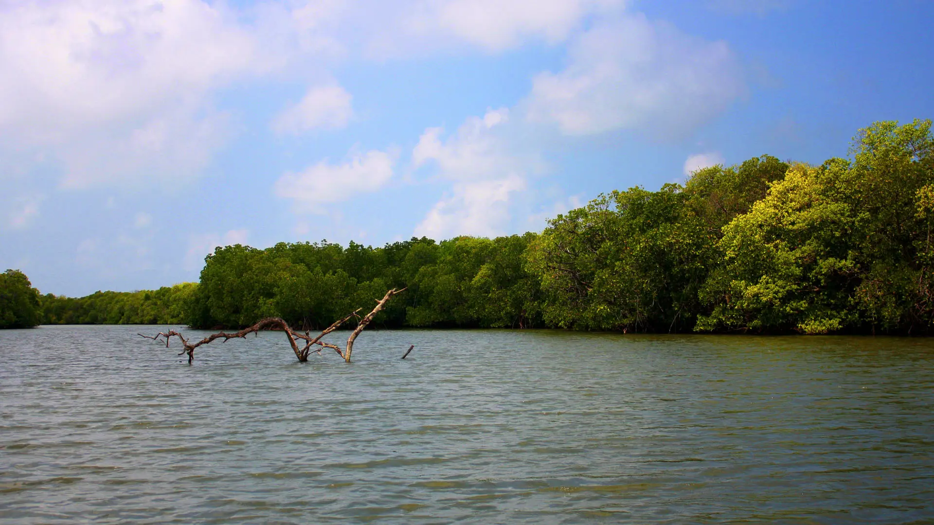 лагуна Негомбо