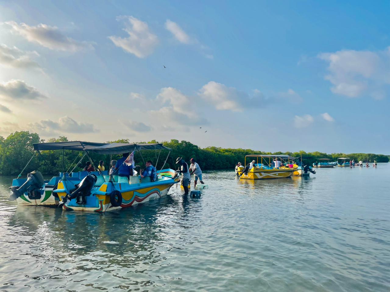 Monkey Island boat tour on Negombo Lagoon with wild monkeys and open sea adventure