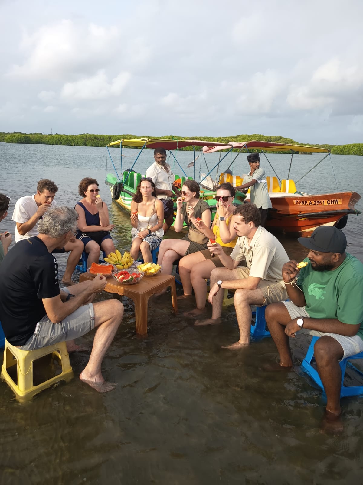 Mangrove forest channels on Negombo Lagoon boat tour — lush green waterway in Sri Lanka