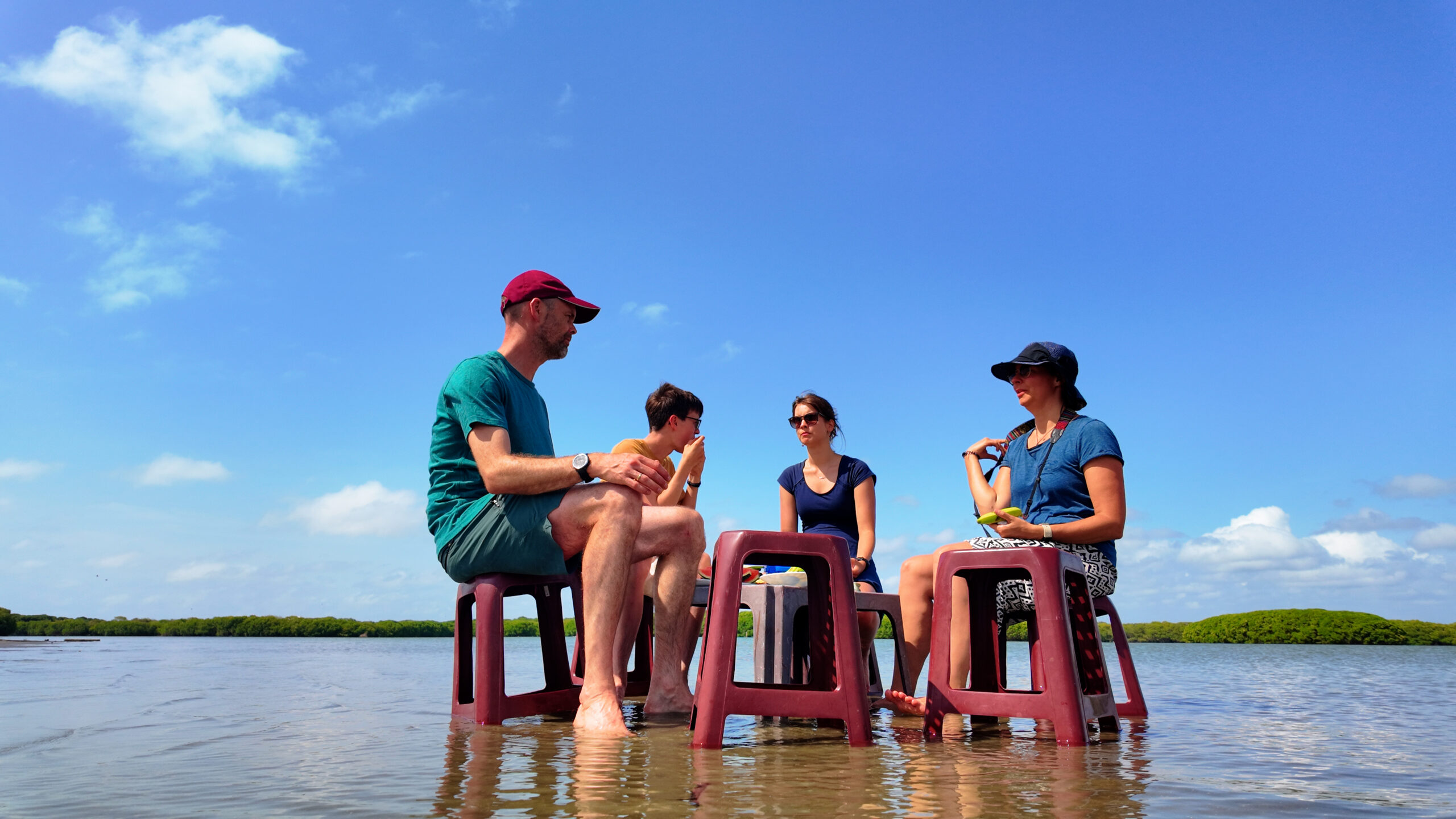 Wildlife spotting on Negombo Lagoon — birds and nature along the Dutch Canal Sri Lanka boat tour