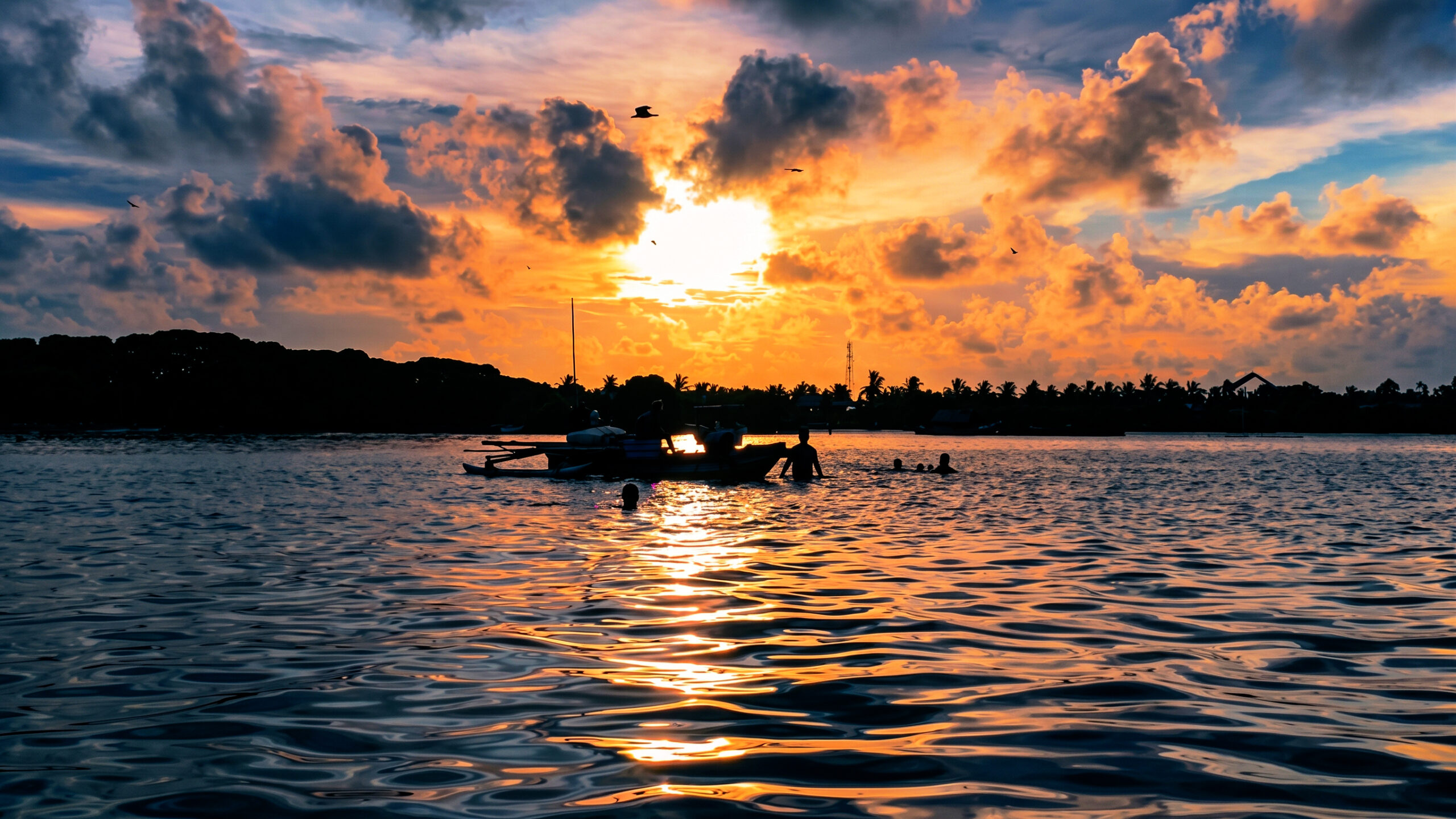 Sunset over Negombo Lagoon during an evening boat tour — golden light reflecting on the water with palm trees on the horizon, Sri Lanka