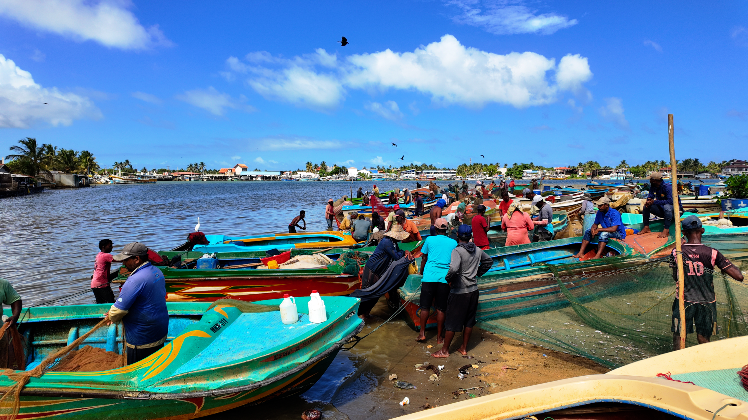 Traditional fishing village on Negombo Lagoon — local fishermen at work Sri Lanka