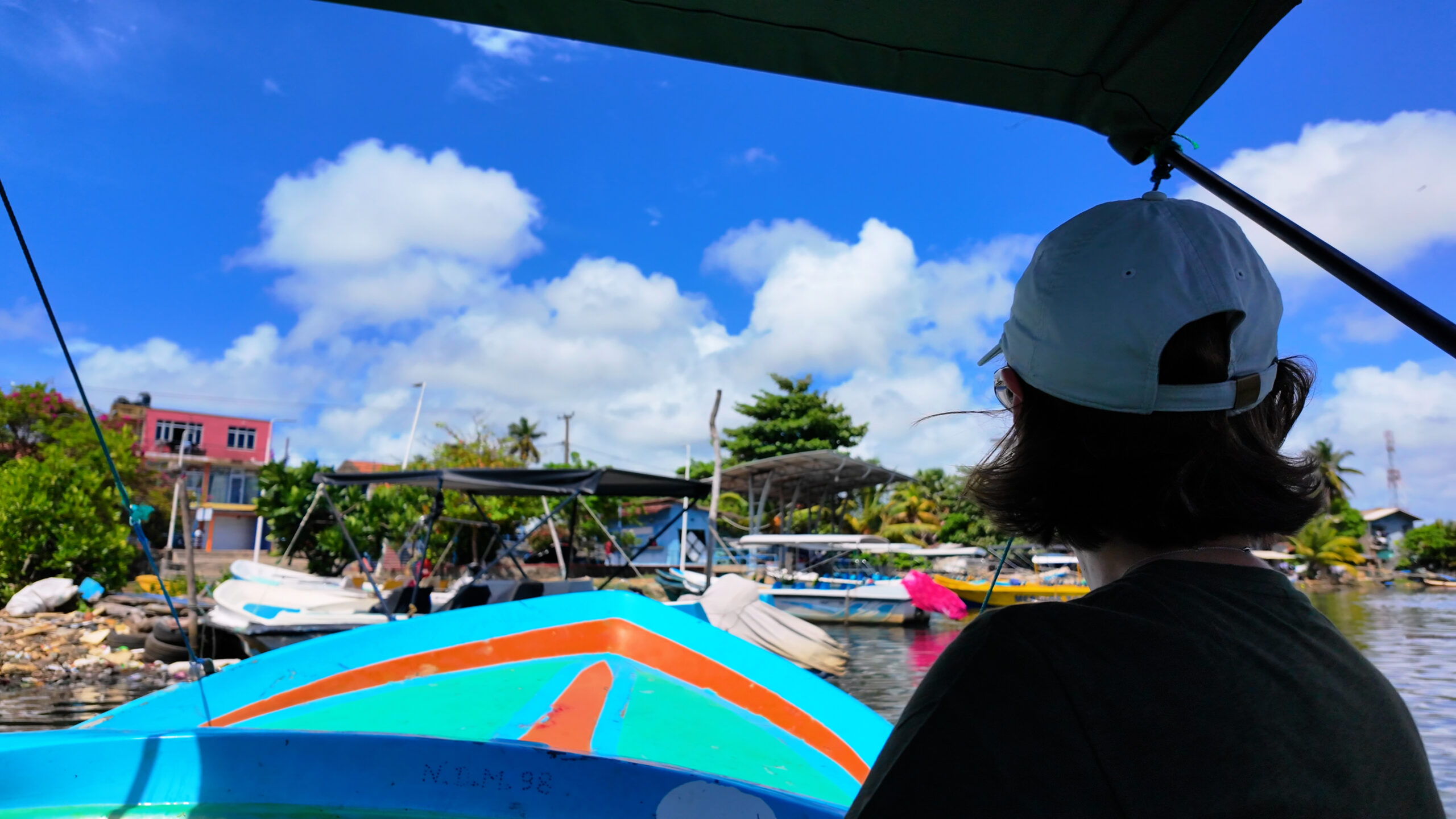 Mangrove forest channels on Negombo Lagoon boat tour — lush green waterway in Sri Lanka